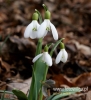 Filename=595_fotowilga~11.JPG
Filesize=79KB
Dimensions=441x480
Date added=Mar 11, 2017 595_fotowilga~11.JPG