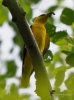 Filename=597_fotowilga~17.JPG
Filesize=224KB
Dimensions=519x700
Date added=Jan 23, 2019 597_fotowilga~17.JPG