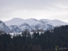 Filename=598_fotowilga~1.JPG
Filesize=220KB
Dimensions=700x525
Date added=Mar 07, 2019 598_fotowilga~1.JPG