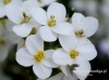 Filename=609_fotowilga~8.JPG
Filesize=74KB
Dimensions=640x479
Date added=May 05, 2016 609_fotowilga~8.JPG