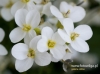 Filename=610_fotowilga~7.JPG
Filesize=76KB
Dimensions=640x479
Date added=May 05, 2016 610_fotowilga~7.JPG