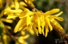 Filename=610_fotowilga~9.JPG
Filesize=226KB
Dimensions=700x461
Date added=Apr 19, 2017 610_fotowilga~9.JPG