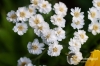 Filename=611_fotowilga.JPG
Filesize=110KB
Dimensions=720x480
Date added=Nov 11, 2012 611_fotowilga.JPG