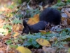Filename=612_fotowilga~10.JPG
Filesize=289KB
Dimensions=700x525
Date added=Sep 28, 2018 612_fotowilga~10.JPG