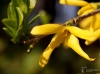Filename=612_fotowilga~7.JPG
Filesize=216KB
Dimensions=700x519
Date added=Apr 19, 2017 612_fotowilga~7.JPG