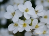 Filename=615_fotowilga~8.JPG
Filesize=71KB
Dimensions=640x479
Date added=May 05, 2016 615_fotowilga~8.JPG