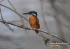 Filename=616_fotowilga~5.JPG
Filesize=82KB
Dimensions=640x457
Date added=May 07, 2015 616_fotowilga~5.JPG