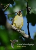 Filename=625_fotowilga~8.JPG
Filesize=68KB
Dimensions=343x480
Date added=May 04, 2016 625_fotowilga~8.JPG