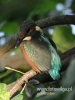 Filename=630_fotowilga~9.JPG
Filesize=78KB
Dimensions=360x480
Date added=Mar 15, 2016 630_fotowilga~9.JPG