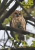 Filename=632_fotowilga~1.JPG
Filesize=204KB
Dimensions=386x540
Date added=Aug 12, 2014 632_fotowilga~1.JPG
