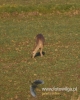635_fotowilga~13.JPG