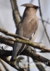 Filename=642_fotowilga~6.JPG
Filesize=83KB
Dimensions=343x480
Date added=Dec 16, 2014 642_fotowilga~6.JPG