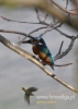 Filename=646_fotowilga~5.JPG
Filesize=65KB
Dimensions=343x480
Date added=May 03, 2015 646_fotowilga~5.JPG