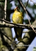 Filename=648_fotowilga~7.JPG
Filesize=81KB
Dimensions=343x480
Date added=May 29, 2016 648_fotowilga~7.JPG