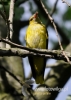 Filename=649_fotowilga~9.JPG
Filesize=78KB
Dimensions=343x480
Date added=Apr 29, 2016 649_fotowilga~9.JPG