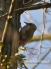 Filename=654_fotowilga~6.JPG
Filesize=81KB
Dimensions=360x480
Date added=Feb 03, 2016 654_fotowilga~6.JPG