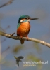 Filename=656_fotowilga~4.JPG
Filesize=59KB
Dimensions=343x480
Date added=Sep 04, 2015 656_fotowilga~4.JPG