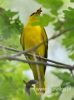 Filename=661_fotowilga~9.JPG
Filesize=75KB
Dimensions=357x480
Date added=Nov 18, 2016 661_fotowilga~9.JPG