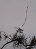 Filename=670_fotowilga.JPG
Filesize=207KB
Dimensions=525x700
Date added=Mar 13, 2019 670_fotowilga.JPG