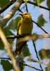 Filename=671_fotowilga~6.JPG
Filesize=79KB
Dimensions=343x480
Date added=Nov 19, 2015 671_fotowilga~6.JPG
