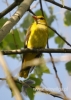Filename=675_fotowilga~8.JPG
Filesize=77KB
Dimensions=343x480
Date added=Nov 05, 2016 675_fotowilga~8.JPG