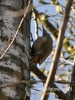 Filename=677_fotowilga~4.JPG
Filesize=89KB
Dimensions=360x480
Date added=Nov 20, 2015 677_fotowilga~4.JPG