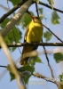 Filename=677_fotowilga~6.JPG
Filesize=76KB
Dimensions=343x480
Date added=Apr 17, 2016 677_fotowilga~6.JPG