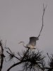 Filename=678_fotowilga~9.JPG
Filesize=204KB
Dimensions=525x700
Date added=Mar 06, 2018 678_fotowilga~9.JPG