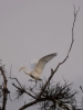 Filename=681_fotowilga~10.JPG
Filesize=194KB
Dimensions=525x700
Date added=Apr 22, 2018 681_fotowilga~10.JPG