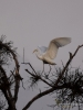 Filename=683_fotowilga.JPG
Filesize=222KB
Dimensions=525x700
Date added=Dec 09, 2019 683_fotowilga.JPG