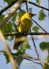 Filename=683_fotowilga~5.JPG
Filesize=77KB
Dimensions=343x480
Date added=May 29, 2016 683_fotowilga~5.JPG