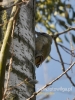 Filename=684_fotowilga~5.JPG
Filesize=89KB
Dimensions=360x480
Date added=Jan 16, 2016 684_fotowilga~5.JPG