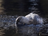 Filename=689_fotowilga~9.JPG
Filesize=310KB
Dimensions=700x525
Date added=Jan 10, 2019 689_fotowilga~9.JPG