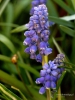 Filename=694_fotowilga~7.JPG
Filesize=302KB
Dimensions=525x700
Date added=Apr 13, 2017 694_fotowilga~7.JPG