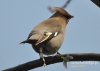 Filename=699_fotowilga~3.JPG
Filesize=78KB
Dimensions=640x457
Date added=Mar 09, 2015 699_fotowilga~3.JPG