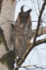 Filename=704_fotowilga~0.JPG
Filesize=77KB
Dimensions=360x540
Date added=May 17, 2013 704_fotowilga~0.JPG