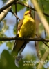 Filename=705_fotowilga~4.JPG
Filesize=76KB
Dimensions=343x480
Date added=Apr 26, 2016 705_fotowilga~4.JPG