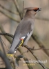 Filename=707_fotowilga~1.JPG
Filesize=71KB
Dimensions=343x480
Date added=Apr 22, 2015 707_fotowilga~1.JPG