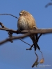 Filename=711_fotowilga~6.JPG
Filesize=199KB
Dimensions=525x700
Date added=May 26, 2019 711_fotowilga~6.JPG