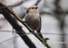 Filename=715_fotowilga~3.JPG
Filesize=89KB
Dimensions=640x457
Date added=Dec 25, 2014 715_fotowilga~3.JPG