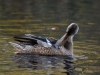 Filename=725_fotowilga~5.JPG
Filesize=292KB
Dimensions=700x525
Date added=Jul 04, 2019 725_fotowilga~5.JPG