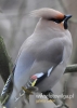 Filename=726_fotowilga~0.JPG
Filesize=71KB
Dimensions=343x480
Date added=Feb 11, 2015 726_fotowilga~0.JPG