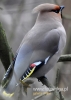 Filename=729_fotowilga~0.JPG
Filesize=76KB
Dimensions=343x480
Date added=Oct 15, 2014 729_fotowilga~0.JPG