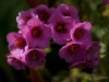 Filename=741_fotowilga~3.JPG
Filesize=242KB
Dimensions=700x525
Date added=Jan 10, 2018 741_fotowilga~3.JPG