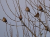 Filename=744_fotowilga~8.JPG
Filesize=277KB
Dimensions=700x525
Date added=May 26, 2019 744_fotowilga~8.JPG