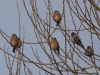Filename=748_fotowilga~7.JPG
Filesize=280KB
Dimensions=700x525
Date added=Jan 06, 2019 748_fotowilga~7.JPG