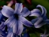 Filename=757_fotowilga~3.JPG
Filesize=266KB
Dimensions=700x525
Date added=May 21, 2017 757_fotowilga~3.JPG