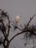 Filename=768_fotowilga~3.JPG
Filesize=235KB
Dimensions=525x700
Date added=Apr 22, 2018 768_fotowilga~3.JPG
