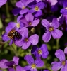 Filename=774_fotowilga~6.JPG
Filesize=362KB
Dimensions=669x700
Date added=Apr 29, 2017 774_fotowilga~6.JPG