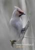 Filename=776_fotowilga~3.JPG
Filesize=65KB
Dimensions=343x480
Date added=Feb 24, 2015 776_fotowilga~3.JPG